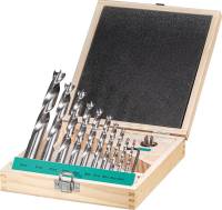 Set burghie HSS pentru lemn, 4;5;6;7;8;910;12;14;16 mm, si un adancitor HW, 11 piese, FORTIS